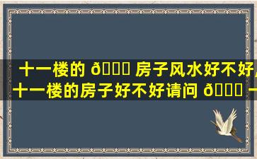 十一楼的 🐋 房子风水好不好,十一楼的房子好不好请问 🐕 一下